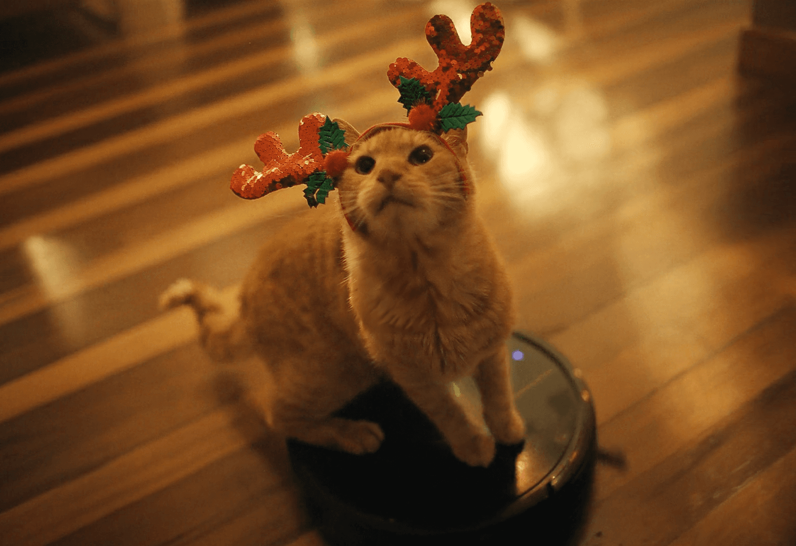Navidad
