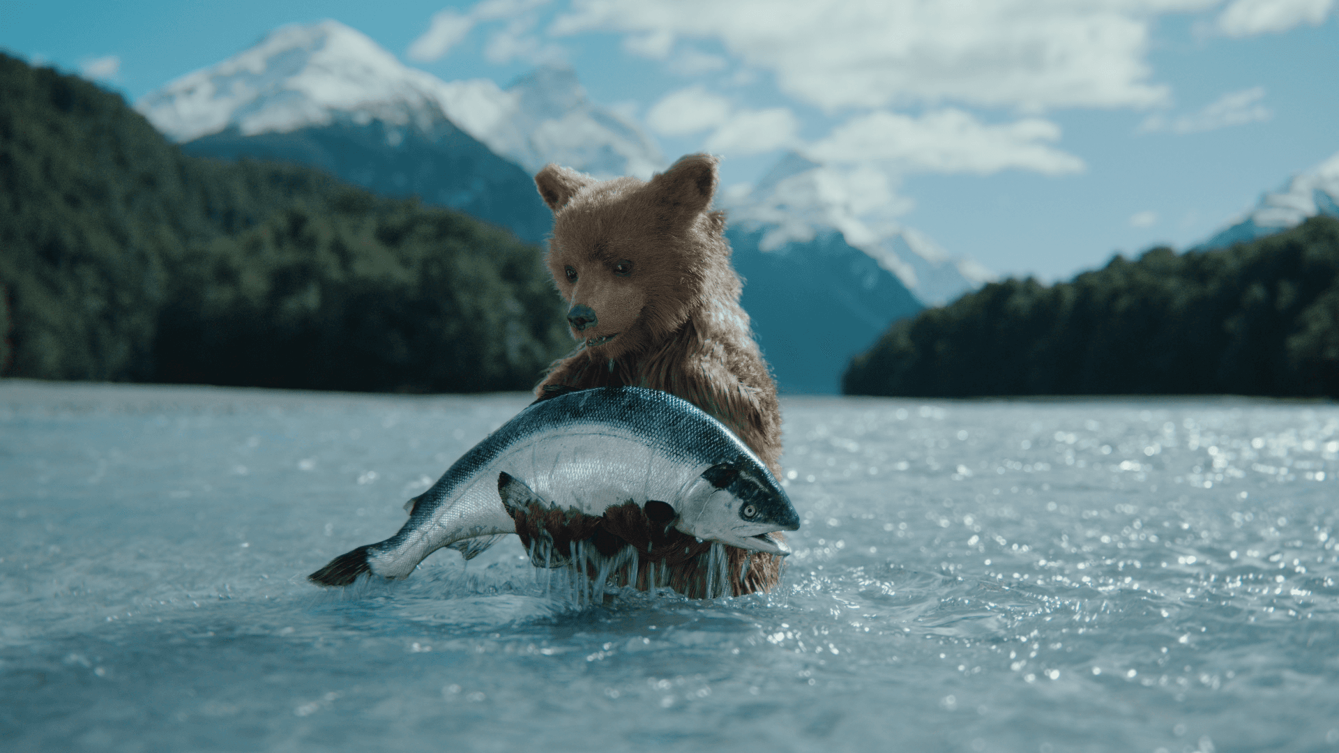 The Cub