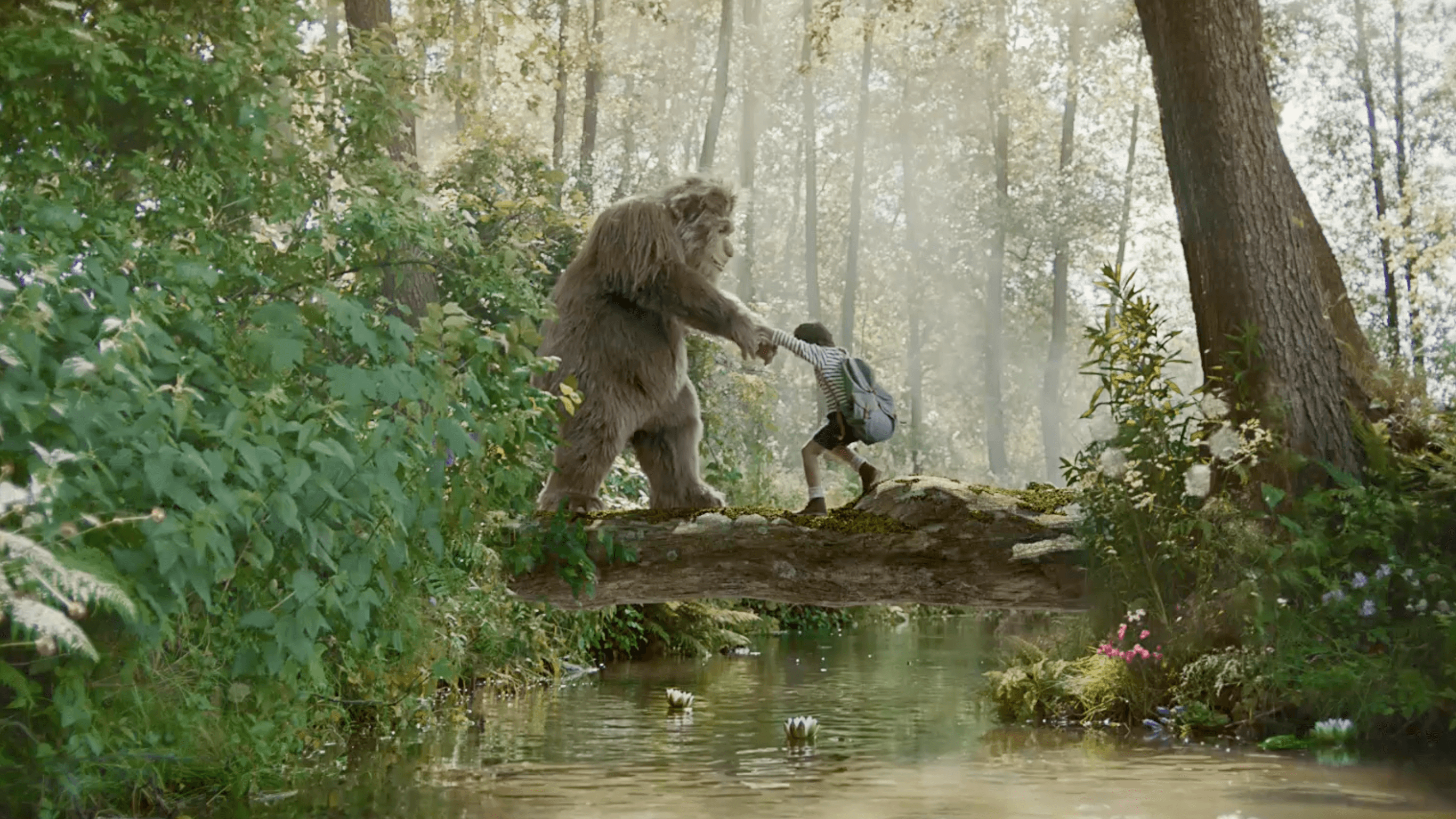 The Forest
